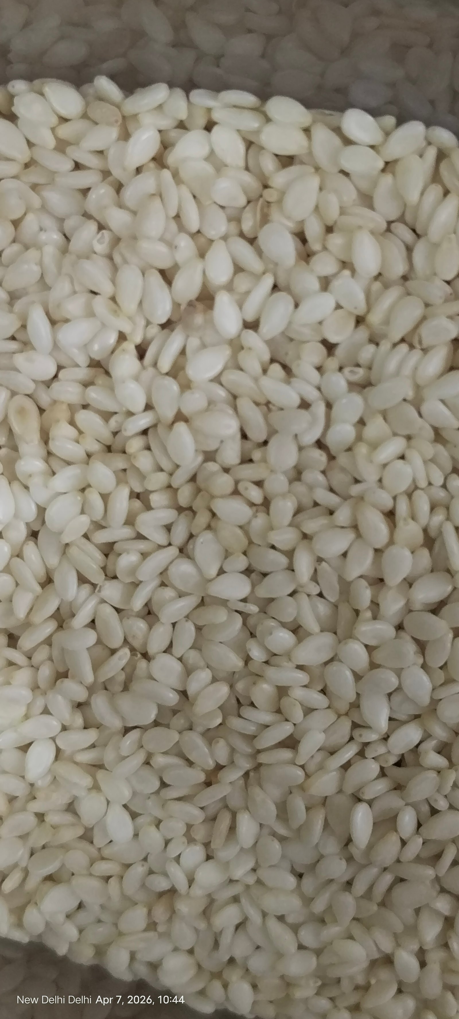 White Sesame Seeds (white Til)